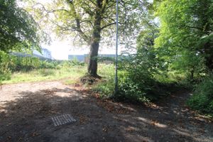 Photo 10- click for photo gallery